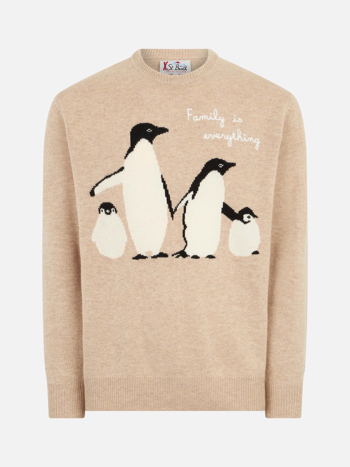 Maglia con jacquard pinguini e ricamo Family is everything