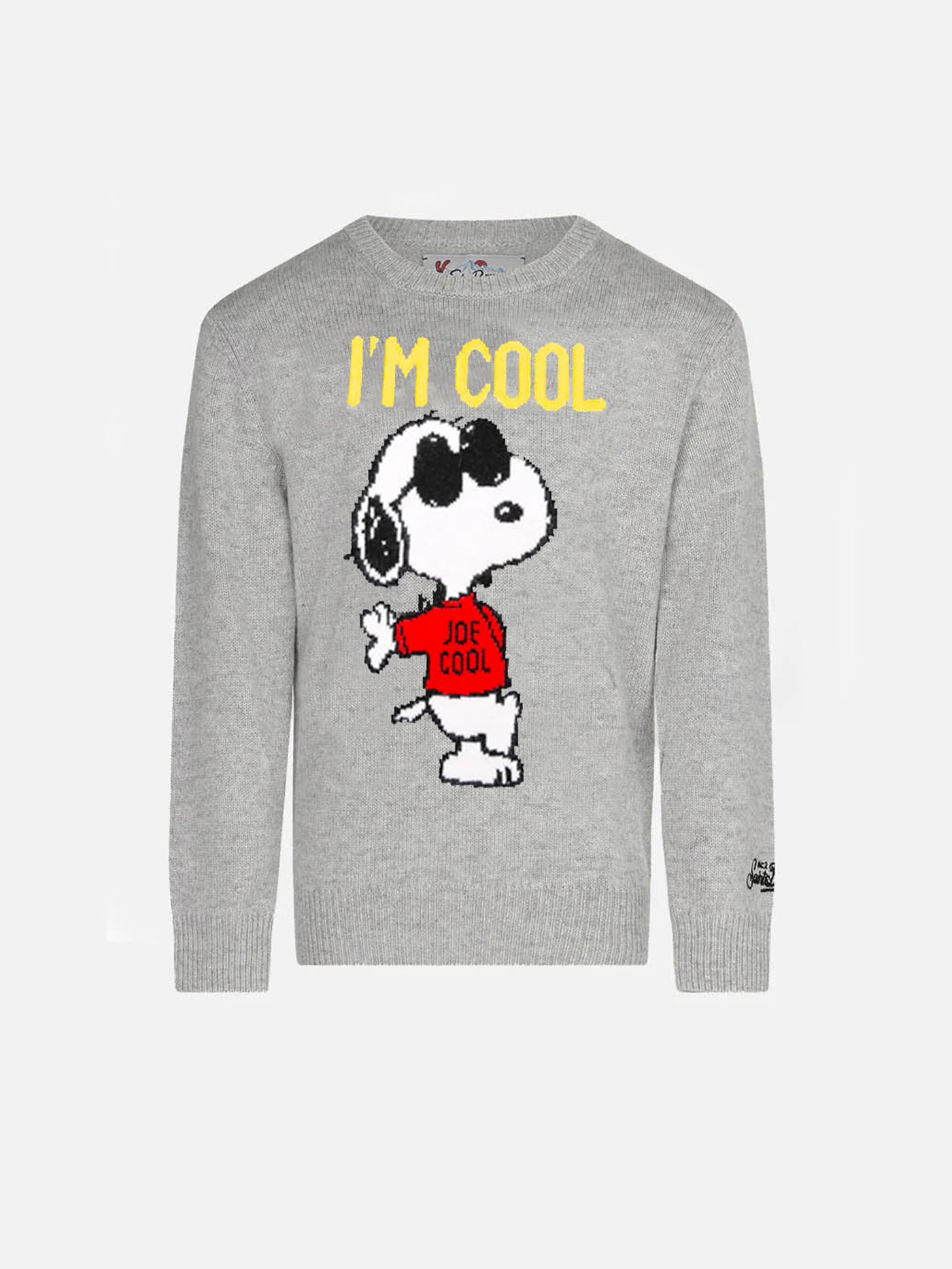 Snoopy Cool boy grey sweater - Special Edition - MC2 Saint Barth