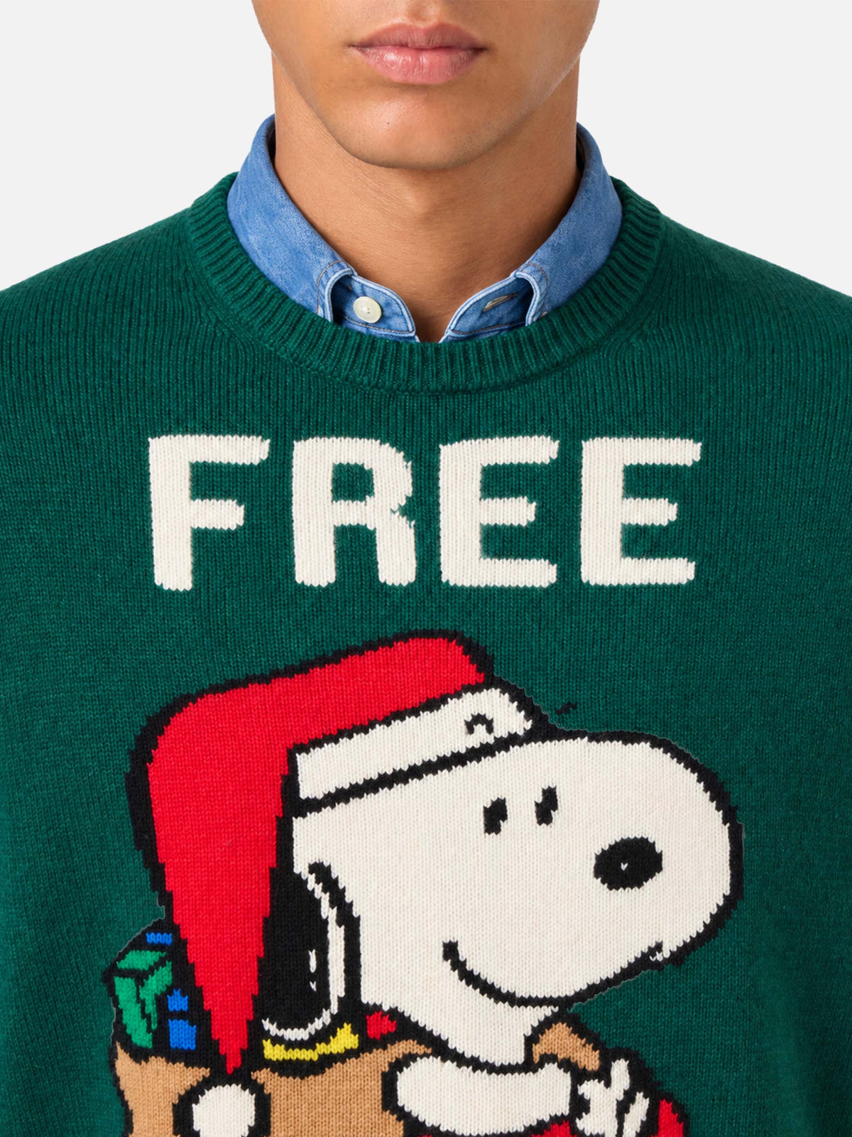 Grüner Pullover Heron mit Snoopy-Jacquard | SNOOPY PEANUTS® SPECIAL EDITION 