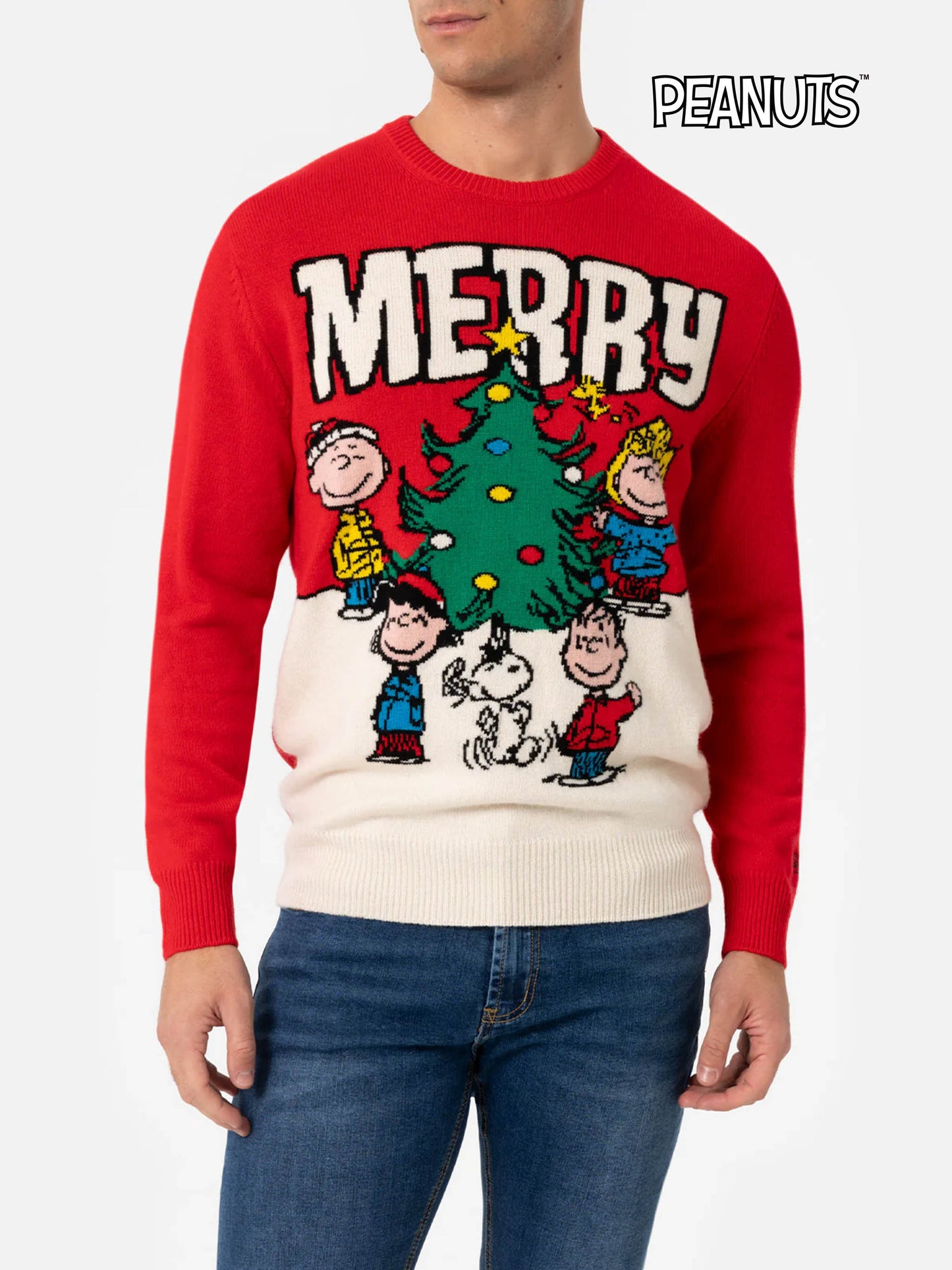 Rundhalspullover mit Reiher- und Peanuts-Jacquardmuster | SNOOPY PEANUTS SONDEREDITION