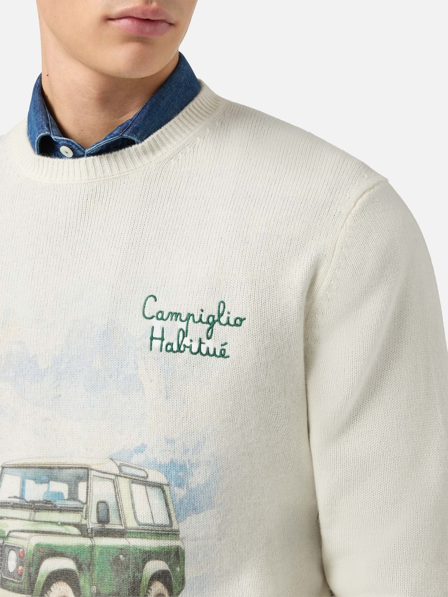 Pullover mit Reihermuster und Campiglio-Straßenmuster