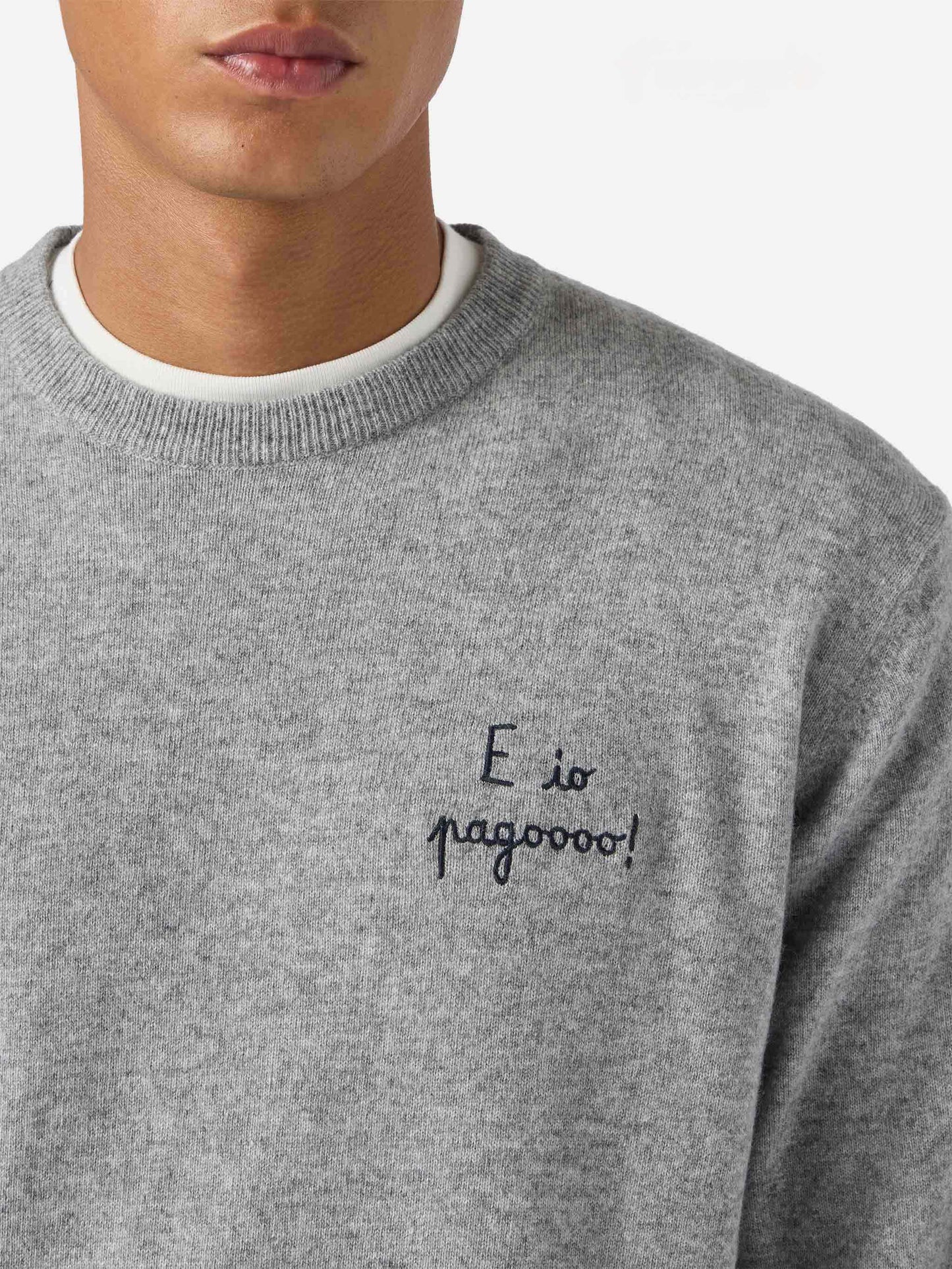 Maglione a girocollo Heron Light con ricamo E io pagooo | YUPPIES SPECIAL EDITION