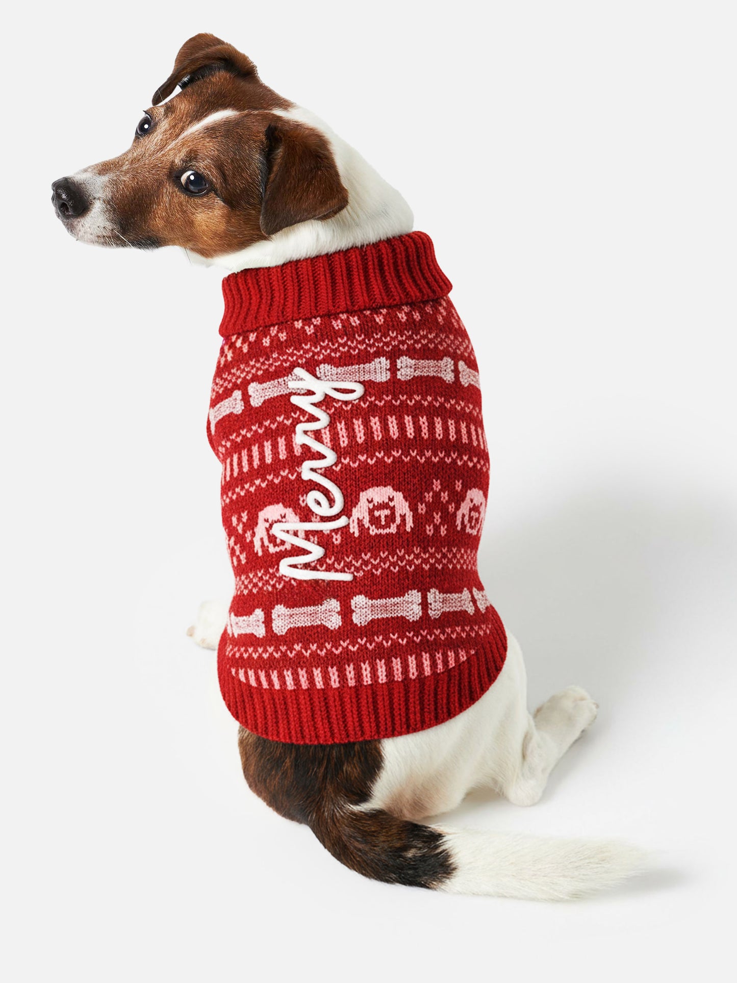 Pull pour chien avec broderie Merry 