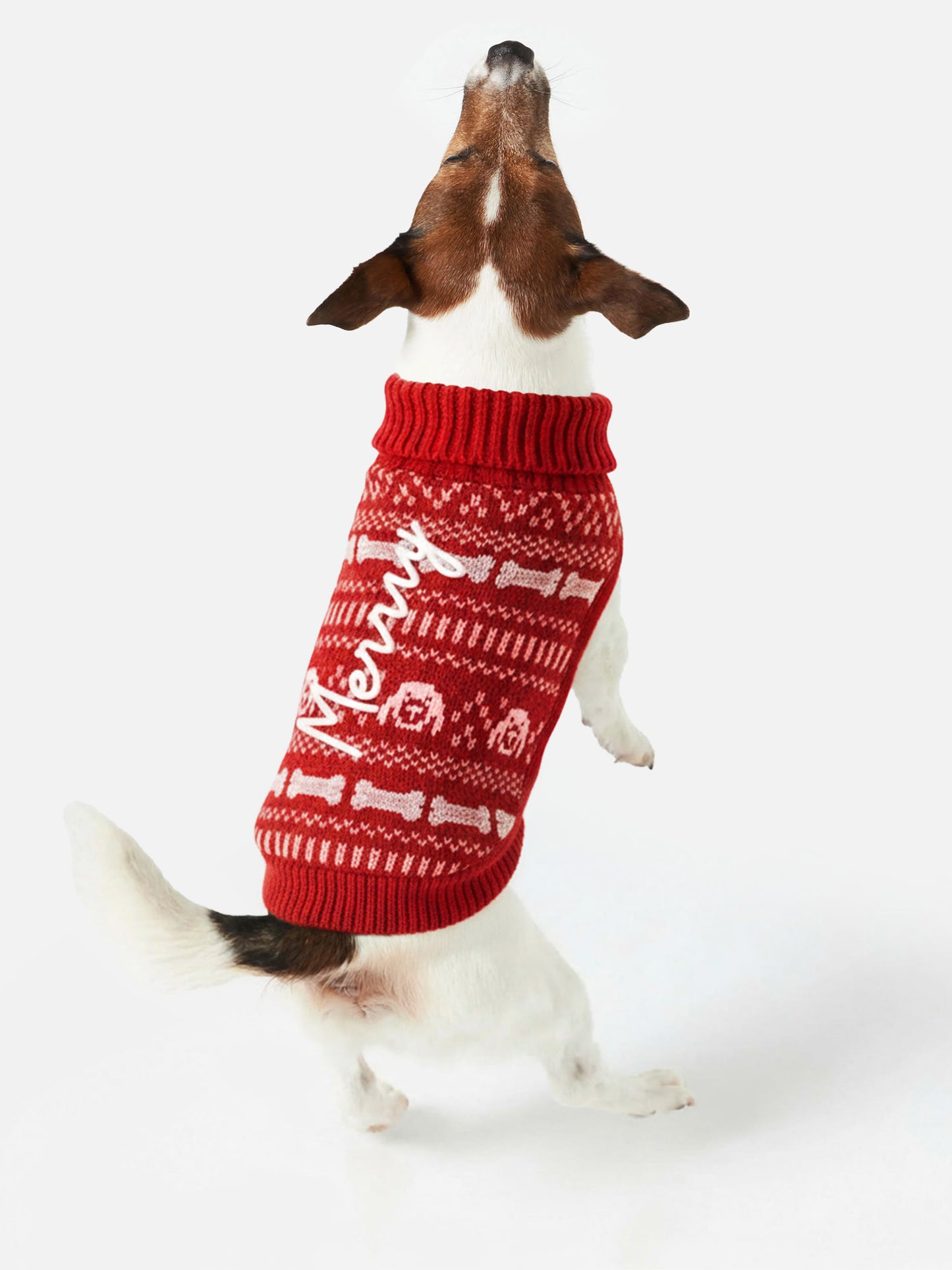 Pull pour chien avec broderie Merry 