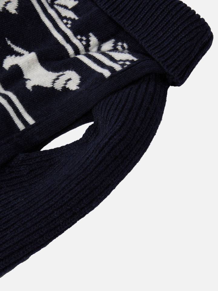 Dog sweater with Infedele embroidery