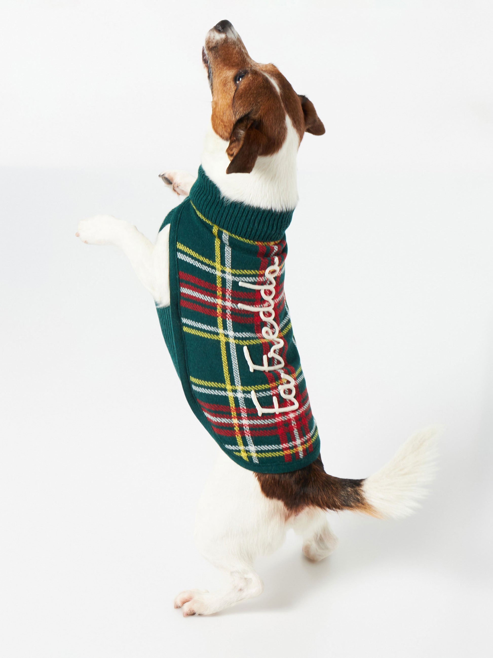 Dog sweater with tartan jacquard - MC2 Saint Barth