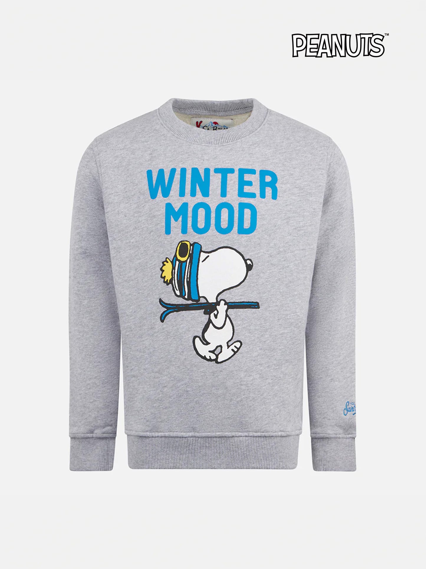 Graues Jungen-Sweatshirt mit Rundhalsausschnitt und Snoopy-Aufdruck | SNOOPY PEANUTS™ SONDEREDITION