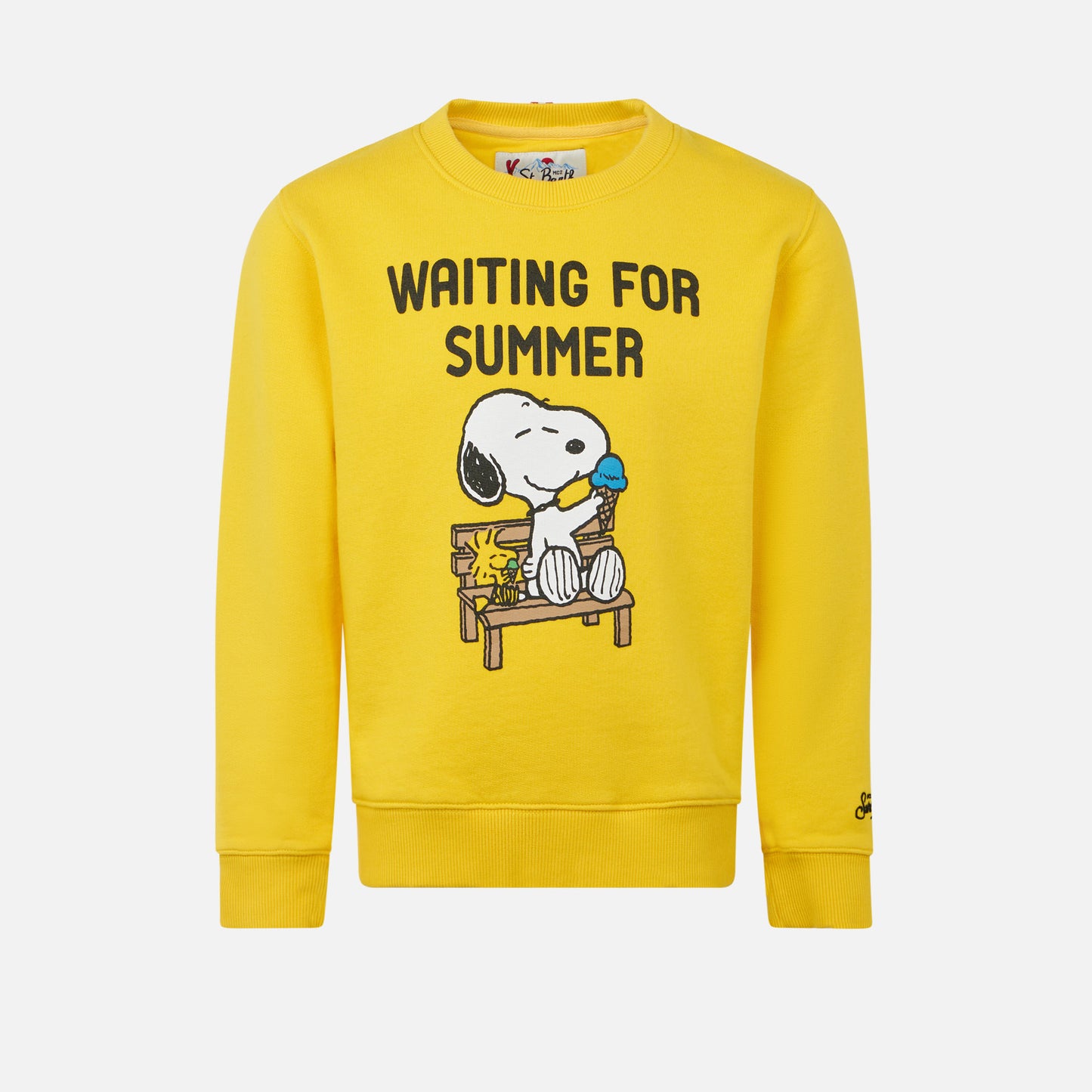 Boy crewneck sweatshirt with Snoopy print | SNOOPY PEANUTS™ SPECIAL EDITION - MC2 Saint Barth