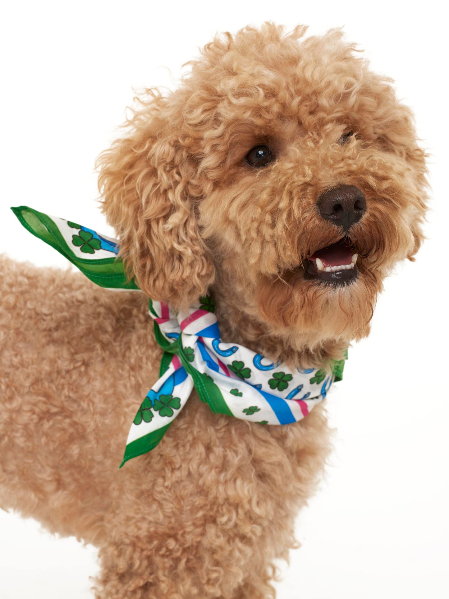 Foulard with lucky print - MC2 Saint Barth
