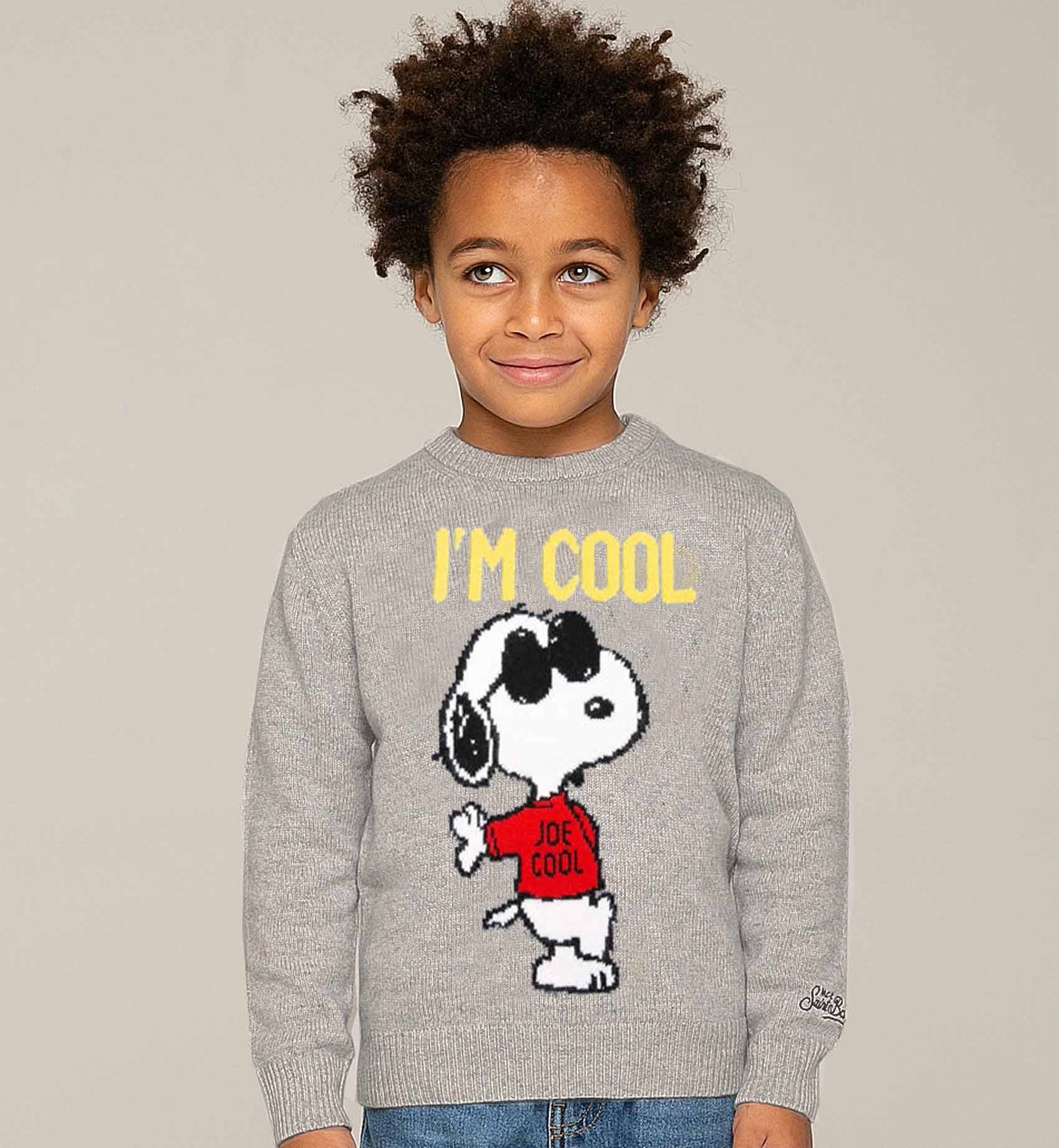 Snoopy Cool boy grey sweater - Special Edition - MC2 Saint Barth